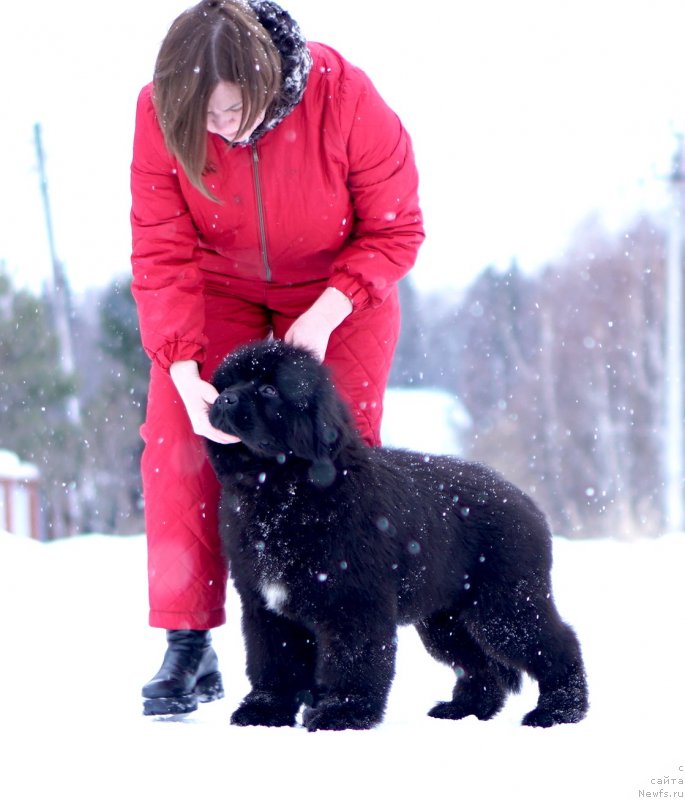 Фото: АК Унгаро