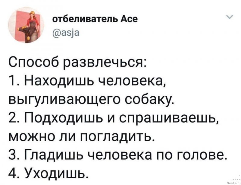 Фотография № 245977