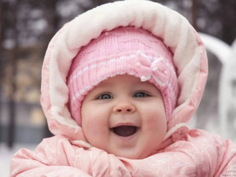 Фотография № 245978