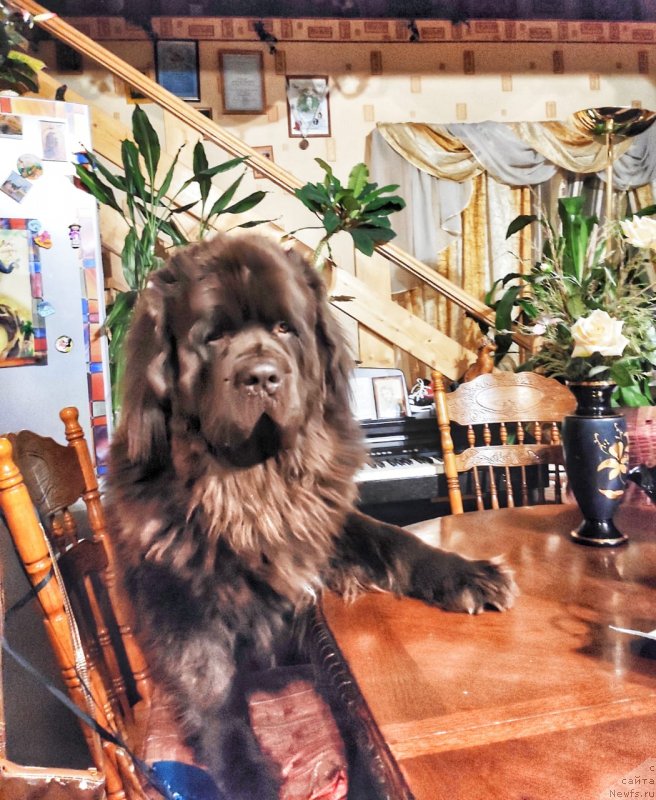 Фотография № 245982