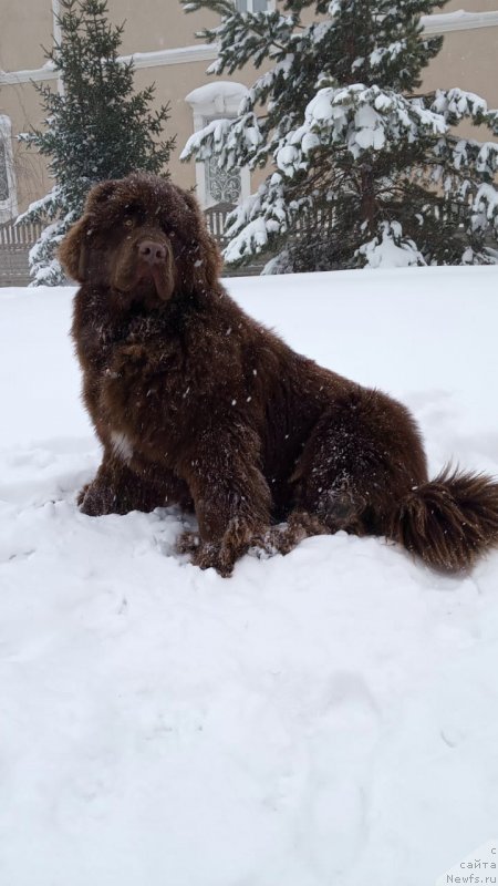 Фотография № 245990