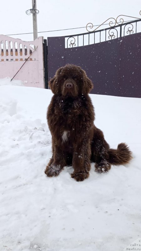 Фотография № 245991