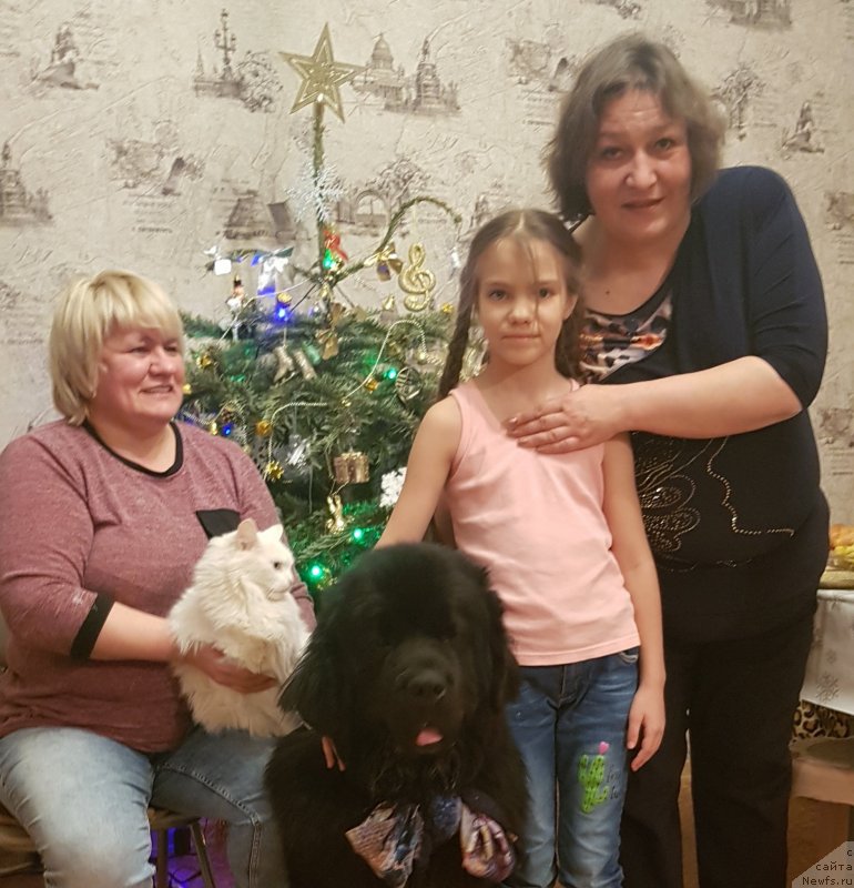 Фото: ньюфаундленд Daanich Veselyiy Rodjer (Даанич Веселый Роджер), Larisa Skakun (Лариса Скакун), Liliana Rahmatova (Лилиана Рахматова)