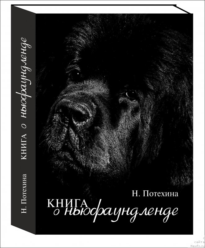 Фотография № 246095