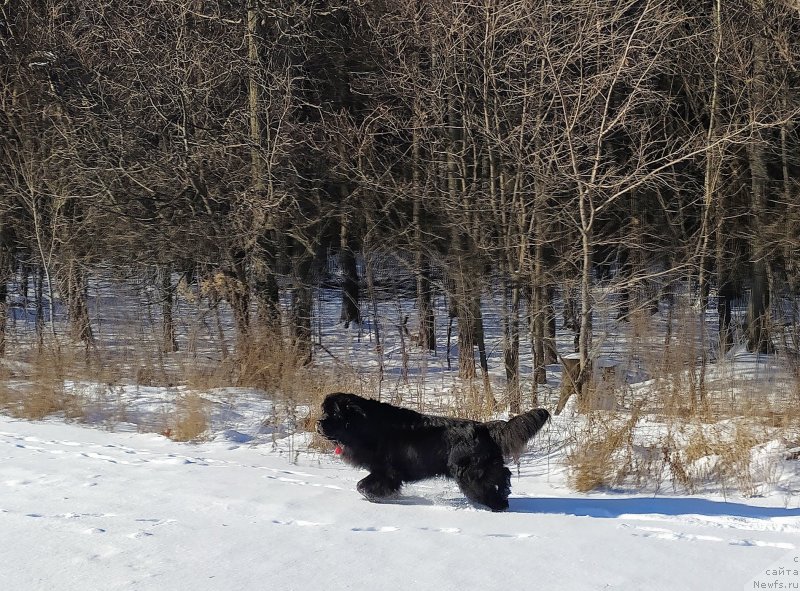 Фотография № 246187