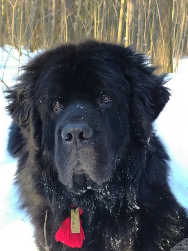 Фотография № 246189