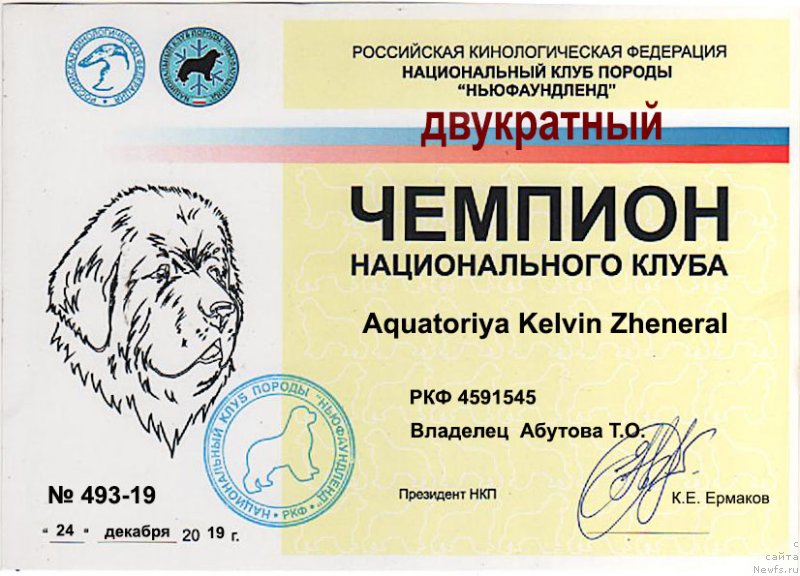 Фото: ньюфаундленд Aquatoriya Kelvin Zheneral (Акватория Келвин Женераль)