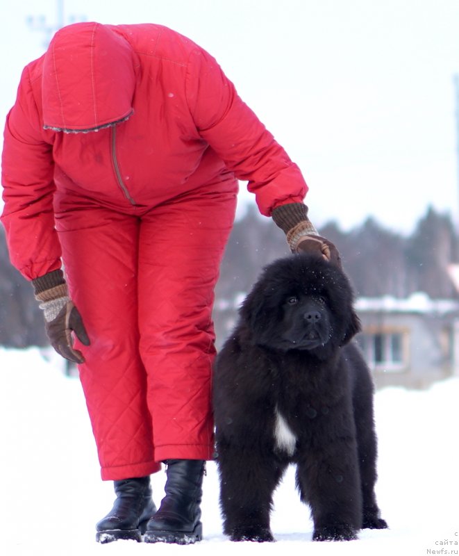 Фото: Акватория Келвин Урса Мажор