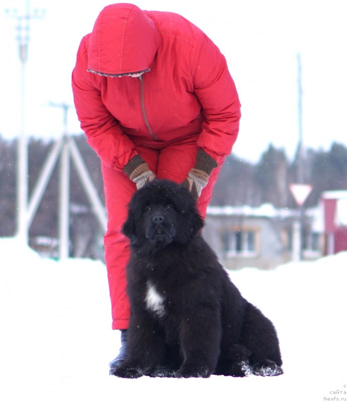 Фото: Акватория Келвин Урса Мажор