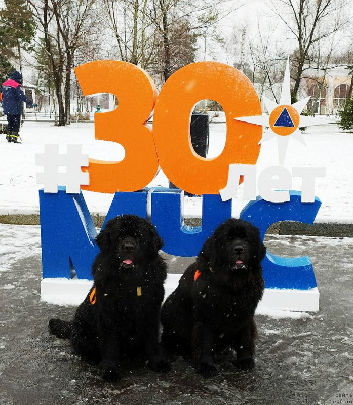 Фотография № 246286