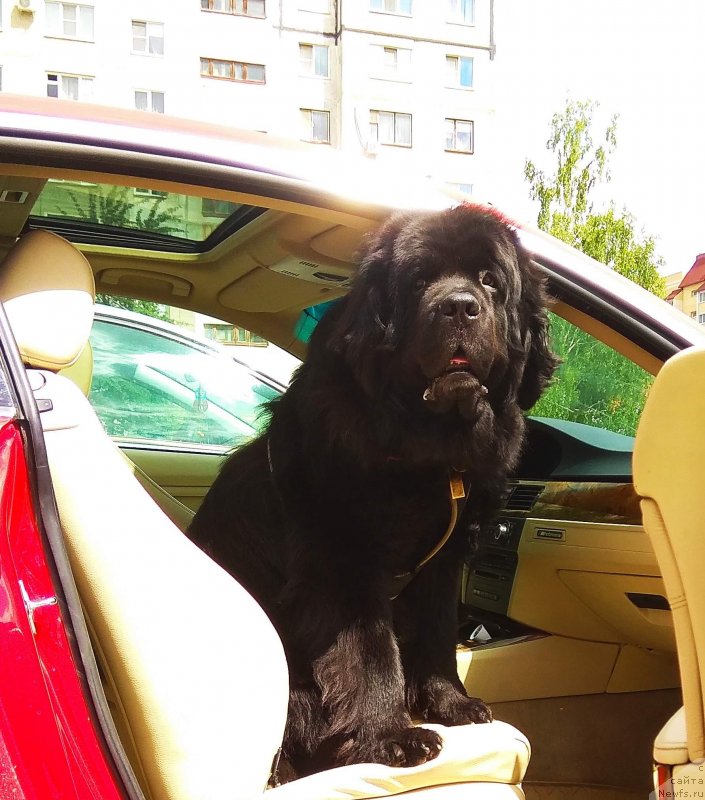 Фотография № 246310