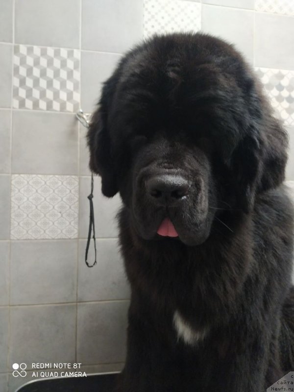 Фотография № 246373