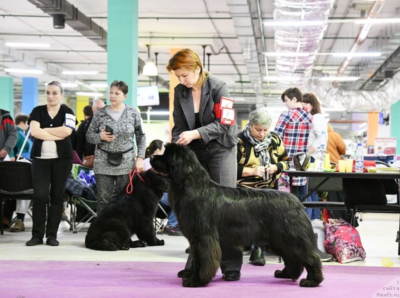 Фотография № 246378