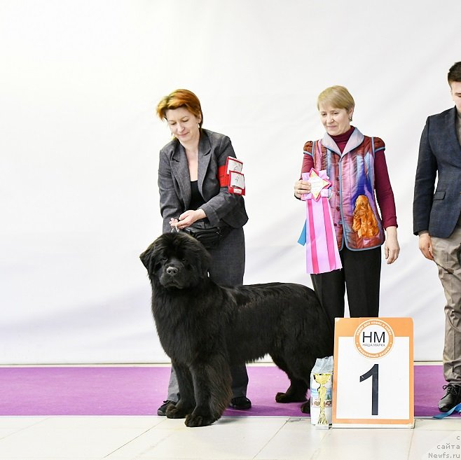 Фотография № 246379