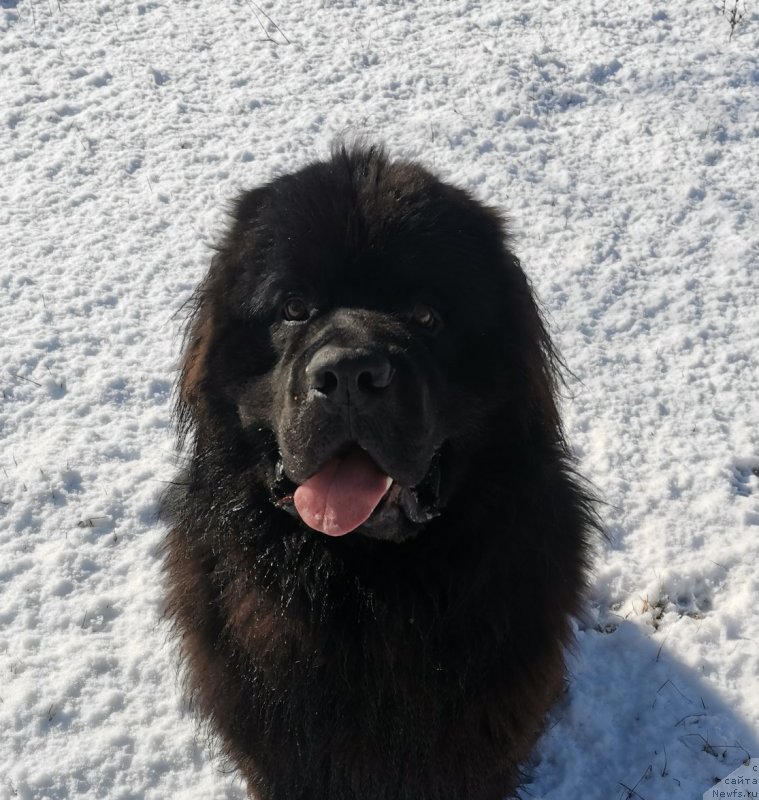 Фотография № 246383