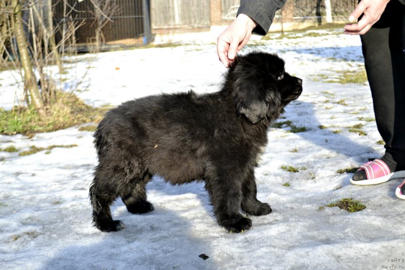 Фотография № 246423