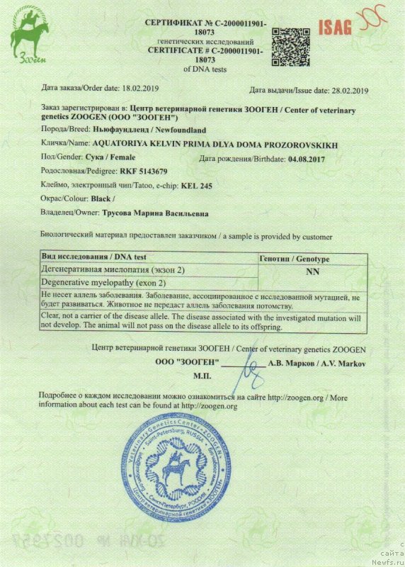 Фото: ньюфаундленд Aquatoriya Kelvin Prima dlya Doma Prozorovskikh (Акватория Келвин Прима для Дома Прозоровских)