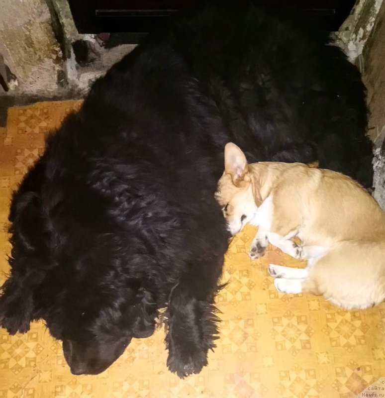 Фотография № 246561