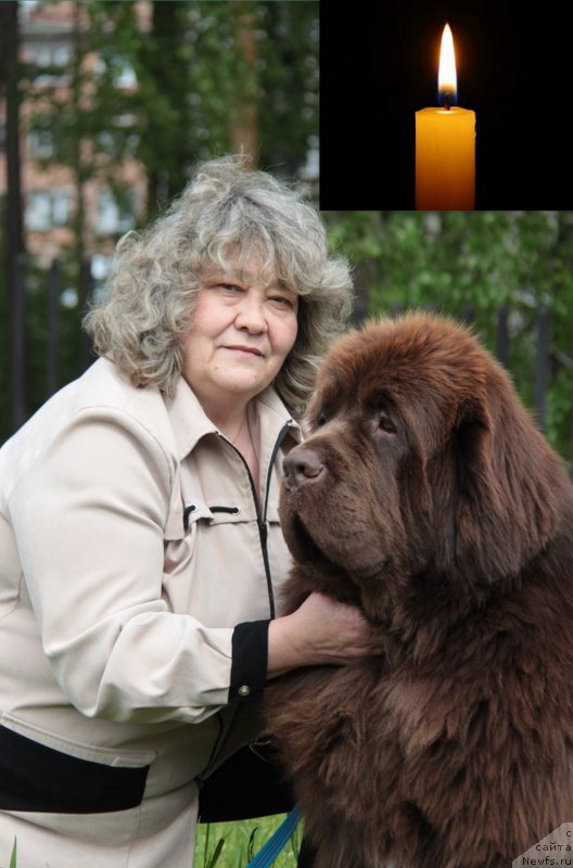 Фото: Irina Panyushkina (Ирина Панюшкина)