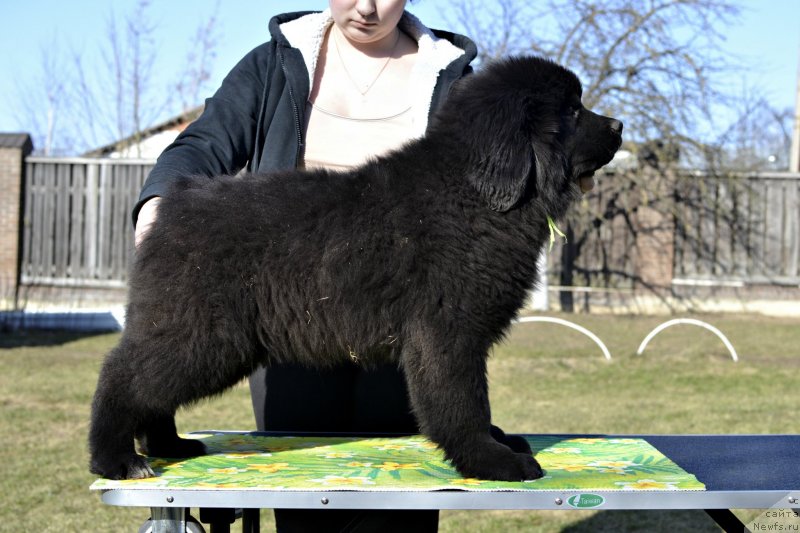 Фотография № 246578