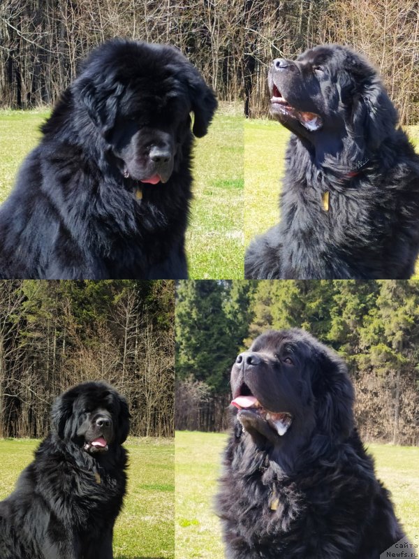 Фотография № 246637