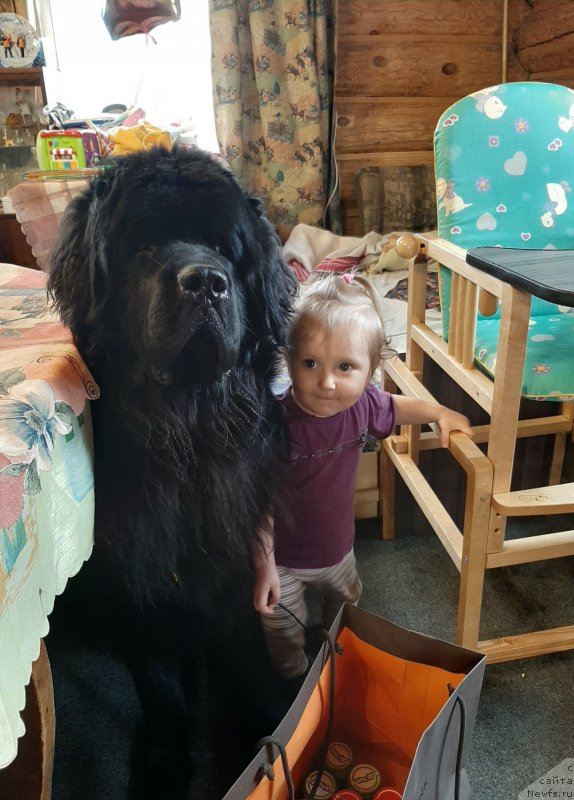 Фотография № 246641