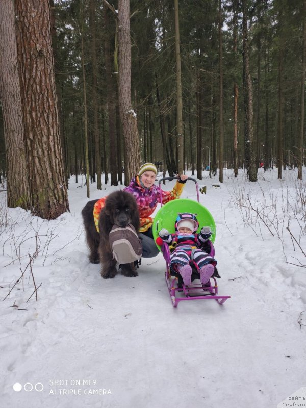 Фотография № 246644