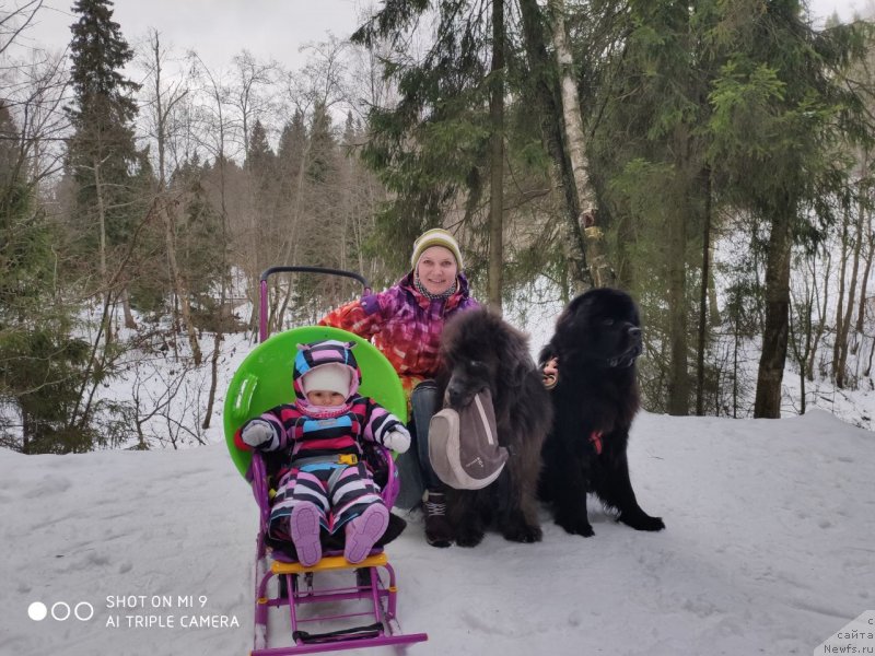 Фотография № 246646