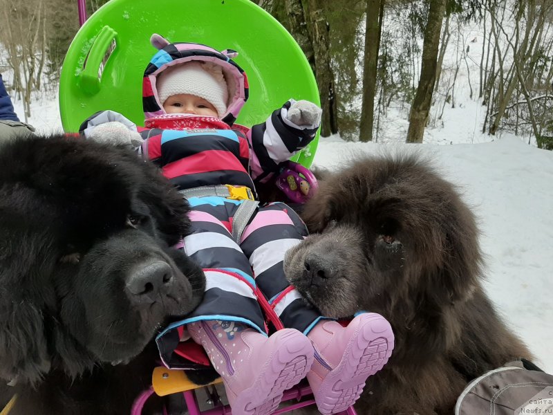 Фотография № 246648