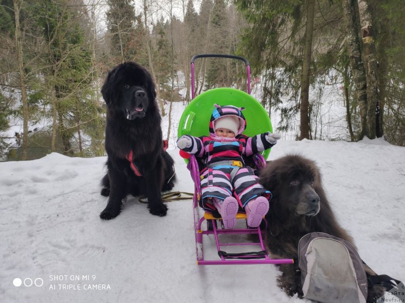 Фотография № 246649