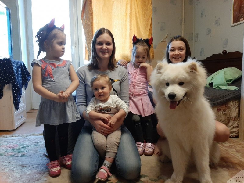 Фотография № 246651