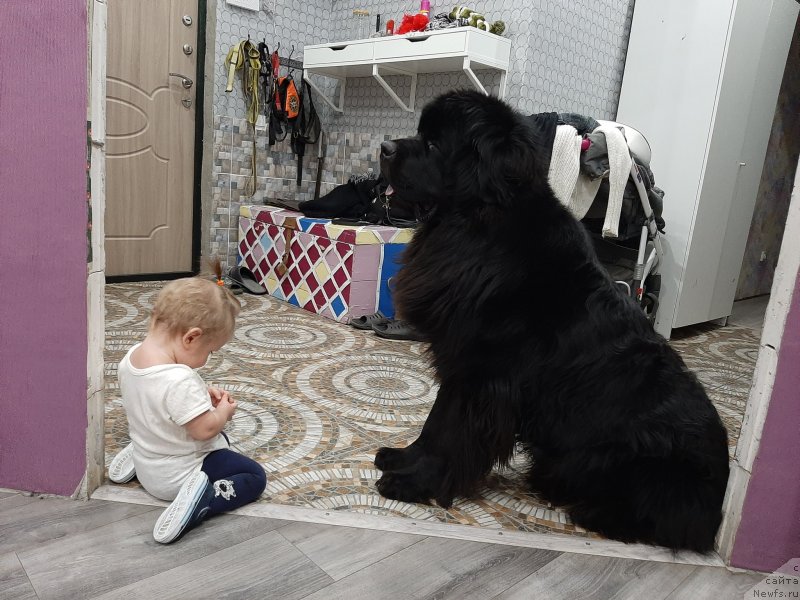 Фотография № 246652