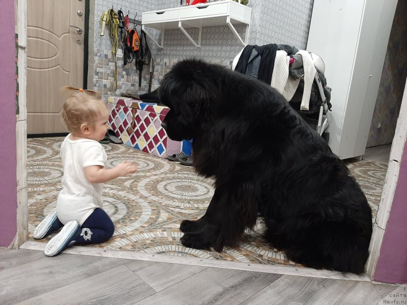 Фотография № 246653