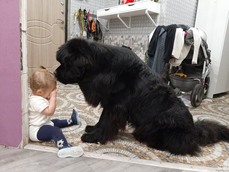 Фотография № 246655