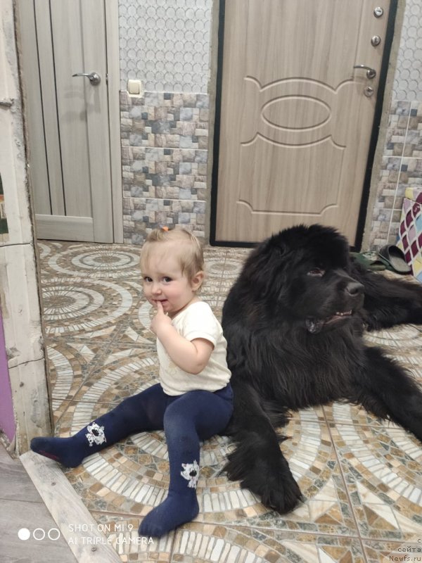 Фотография № 246656