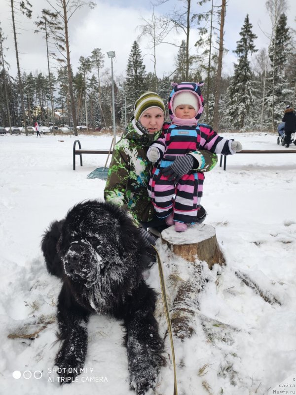 Фотография № 246660