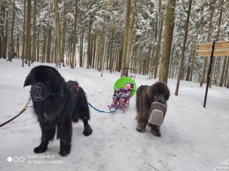 Фотография № 246662