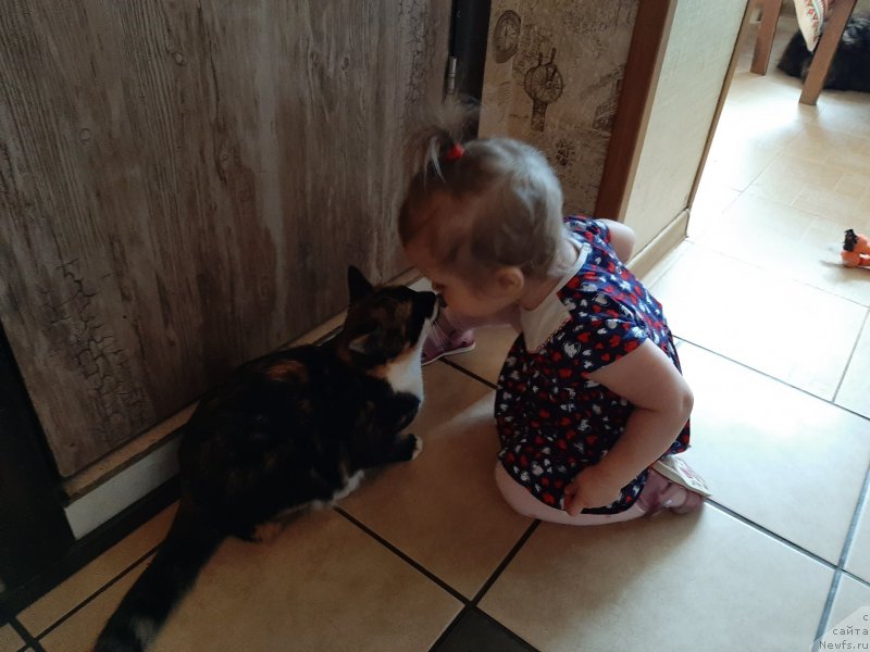 Фотография № 246671