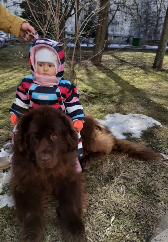 Фотография № 246672