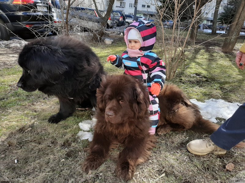 Фотография № 246673