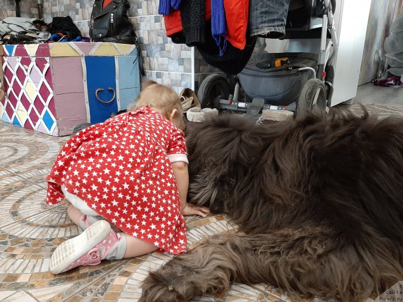 Фотография № 246675