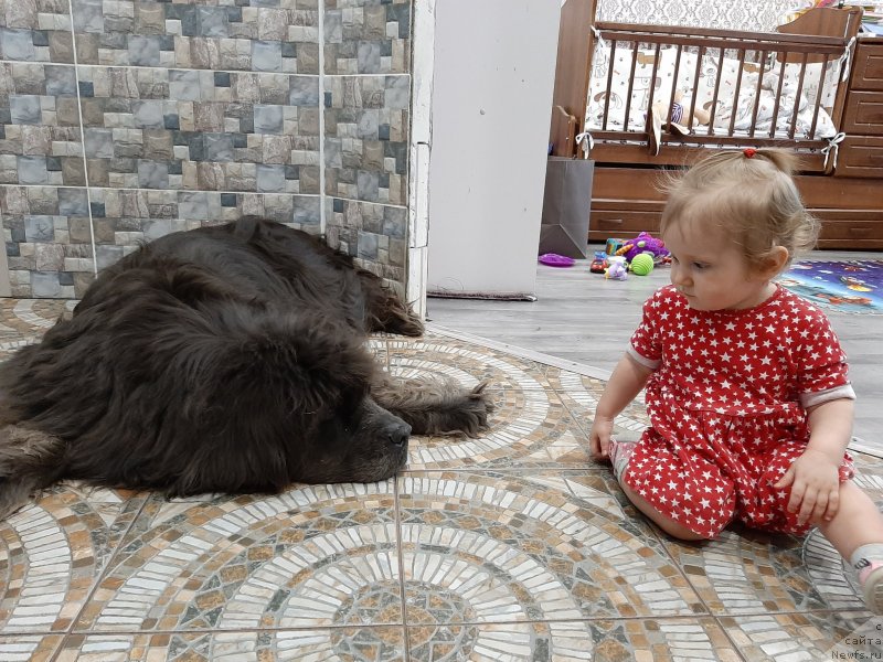 Фотография № 246676