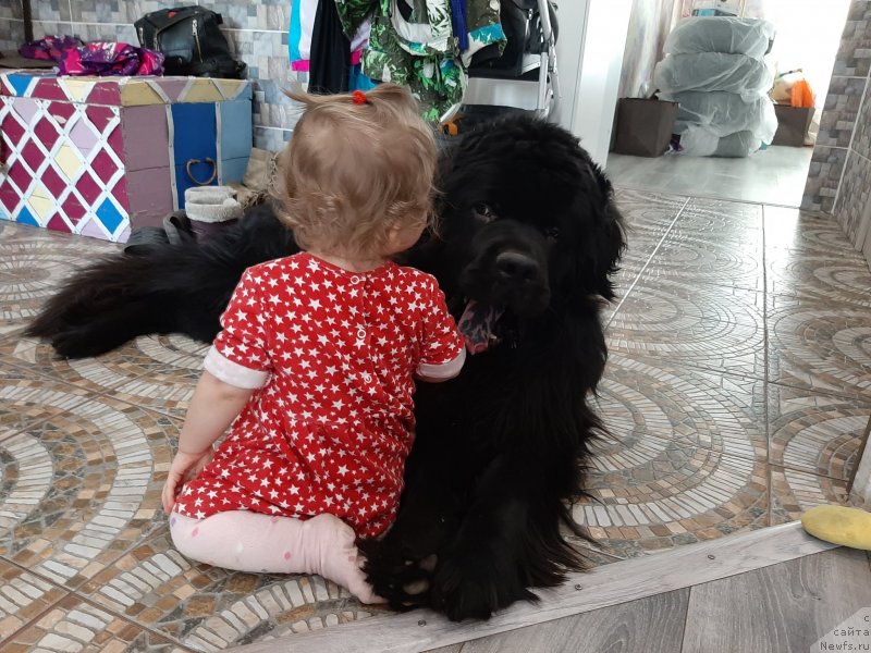 Фотография № 246677