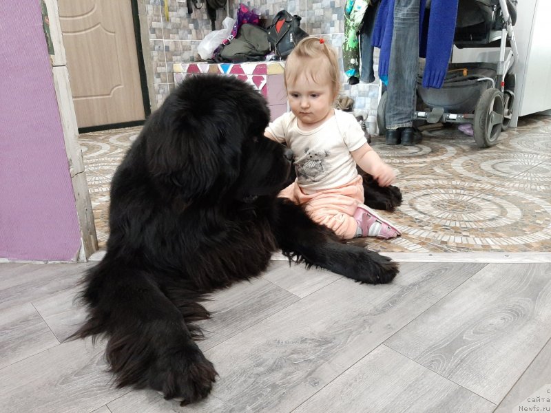 Фотография № 246681