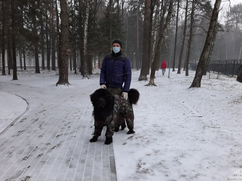 Фотография № 246682