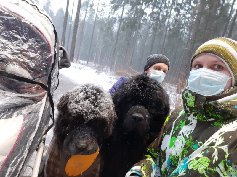 Фотография № 246684