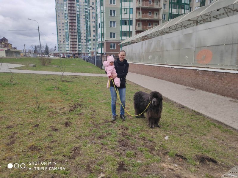 Фотография № 246687