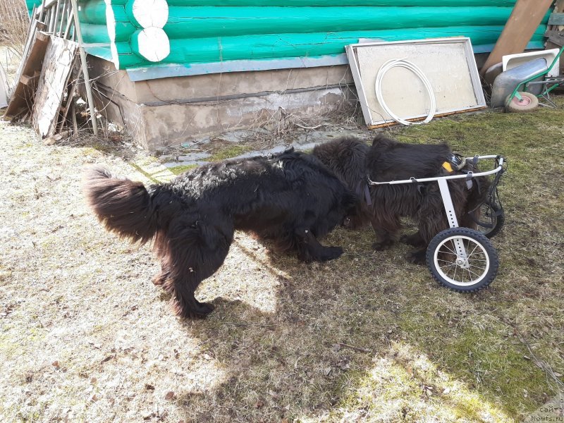 Фотография № 246697