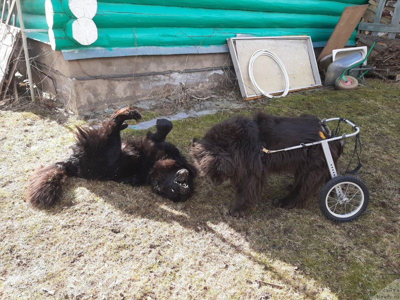 Фотография № 246699