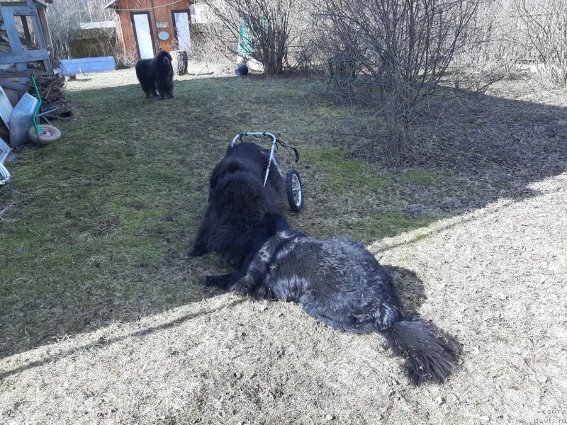 Фотография № 246700